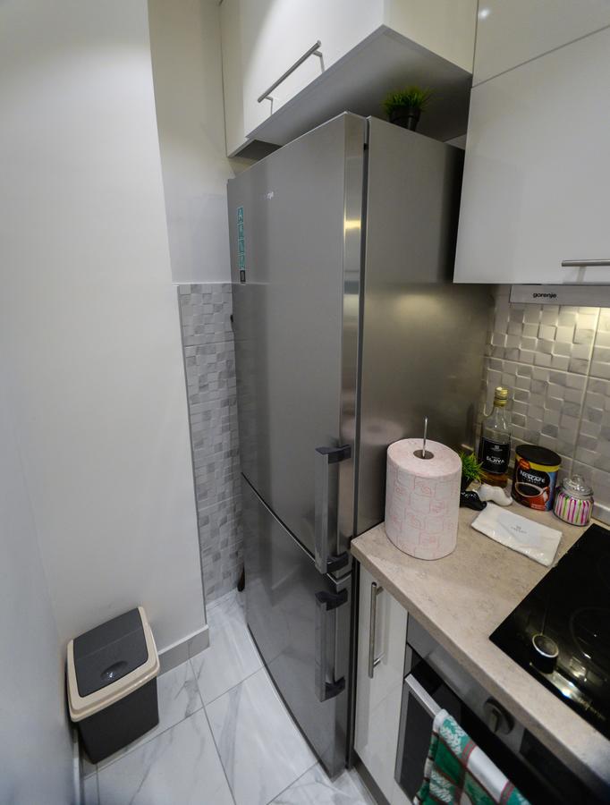 Srecko Exclusive Apartment Belgrade Exterior photo